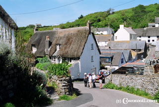 Cadgwith cottage